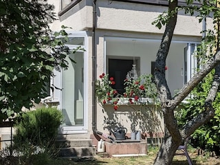 Appartement Neustadt an der Weinstraße Buitenaudio-opname 10