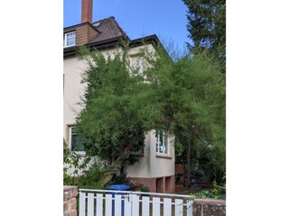 Appartement Neustadt an der Weinstraße Enregistrement extérieur 6