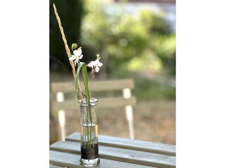 Appartement Neustadt an der Weinstraße Enregistrement extérieur 15