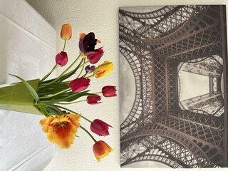 Appartement Neustadt an der Weinstraße Kenmerken 21