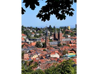 Appartamento Neustadt an der Weinstraße Registrazione all'aperto 10