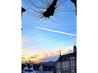 Appartamento Neustadt an der Weinstraße Registrazione all'aperto 11