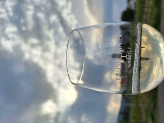 Appartement Neustadt an der Weinstraße Buitenaudio-opname 12