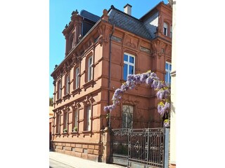 Appartamento Neustadt an der Weinstraße Registrazione all'aperto 14