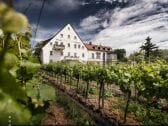 Weingut und Gästehaus