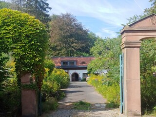 Apartamento Neustadt an der Weinstraße Grabación al aire libre 2