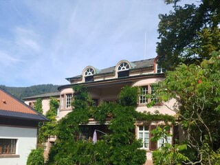 Appartement Neustadt an der Weinstraße Buitenaudio-opname 10