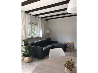 Wohn-/Schlafzimmer (Schlafcouch ausziehbar)
