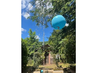 Appartement Neustadt an der Weinstraße Buitenaudio-opname 16