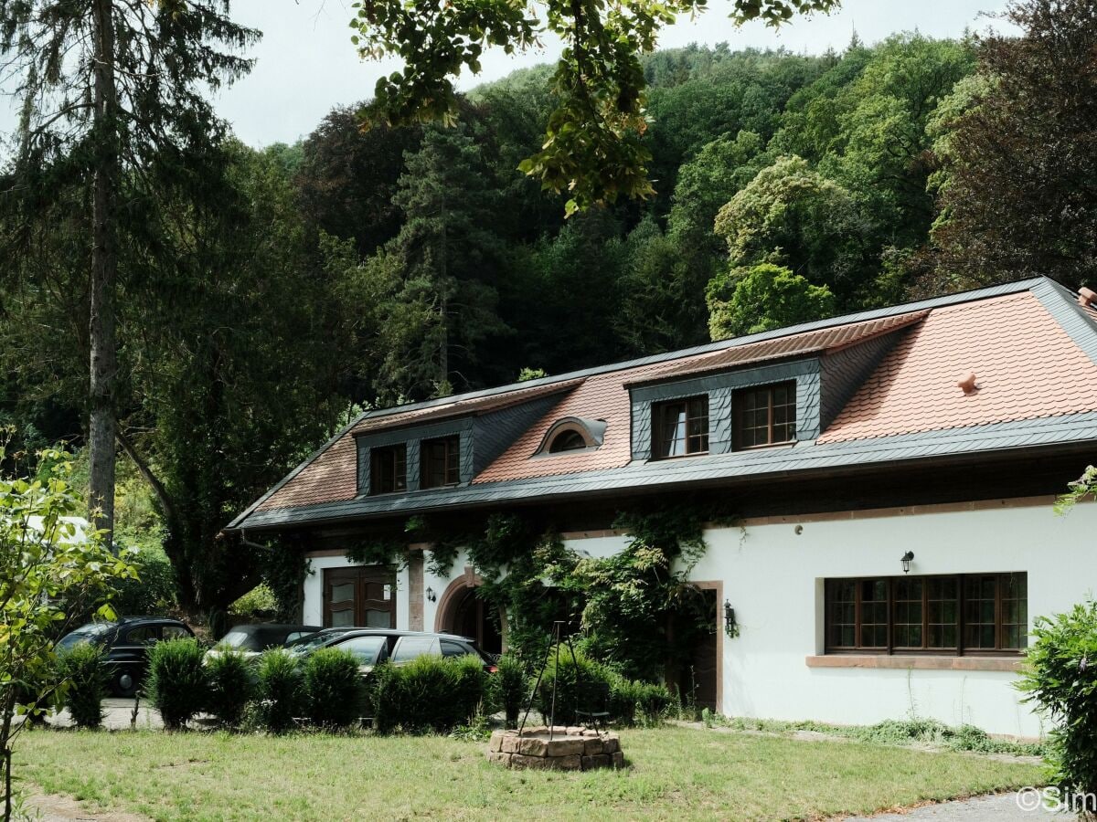 Appartement Neustadt an der Weinstraße Buitenaudio-opname 1