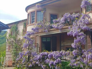 Appartement Neustadt an der Weinstraße Buitenaudio-opname 10