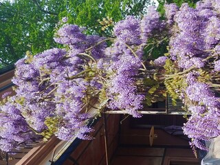 Appartement Neustadt an der Weinstraße Buitenaudio-opname 12