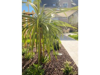 Appartamento Neustadt an der Weinstraße Caratteristiche 38