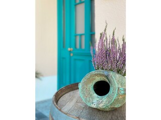 Appartamento Neustadt an der Weinstraße Registrazione all'aperto 9