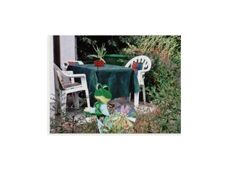 Apartamento Neustadt an der Weinstraße Grabación al aire libre 5