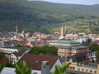 Apartamento Neustadt an der Weinstraße Grabación al aire libre 10