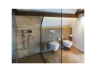 Appartamento Neustadt an der Weinstraße Caratteristiche 13