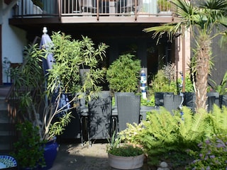 Appartement Neustadt an der Weinstraße Buitenaudio-opname 2