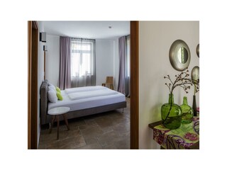 Appartamento Neustadt an der Weinstraße Caratteristiche 14