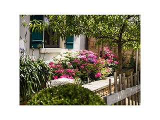 Appartement Neustadt an der Weinstraße Buitenaudio-opname 6