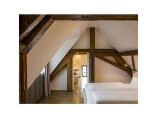 Apartamento Neustadt an der Weinstraße Características 14