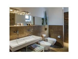 Apartamento Neustadt an der Weinstraße Características 11