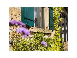 Apartamento Neustadt an der Weinstraße Características 18