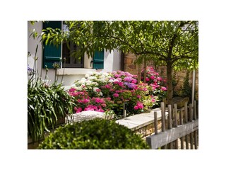 Appartamento Neustadt an der Weinstraße Registrazione all'aperto 6