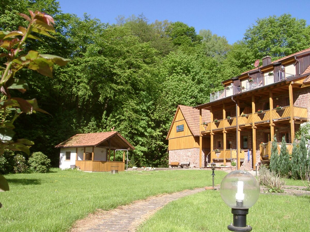 Appartamento Schönau (Pfalz) Registrazione all'aperto 1