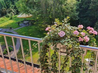 Appartamento Schönau (Pfalz) Caratteristiche 19