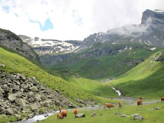 Villa Artigat Entorno 30