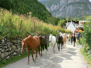 Villa Artigat Environnement 31