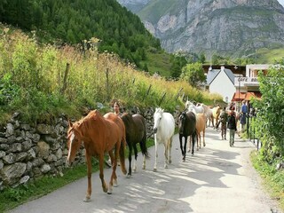 Villa Artigat Ambiente 32