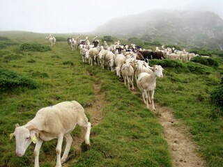 Villa Artigat Entorno 28