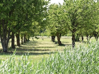 Villa Ermelo Umgebung 32