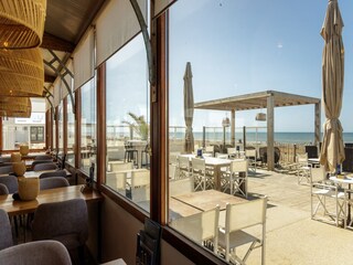 Ferienpark Zandvoort Umgebung 16