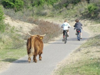 Parc de vacances Zandvoort Environnement 35