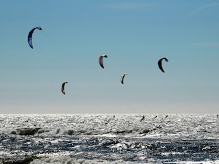 Ferienpark Zandvoort Umgebung 29