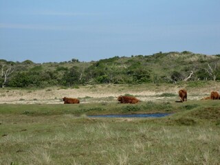 Vakantiepark Zandvoort Omgeving 29