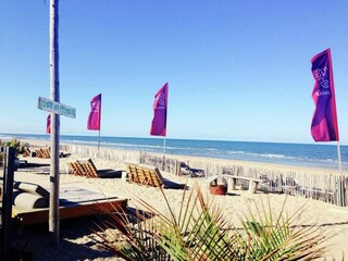 Parque de vacaciones Zandvoort Entorno 35