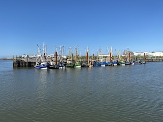 Norddeicher Hafen