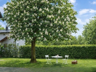 Frühstück im Garten