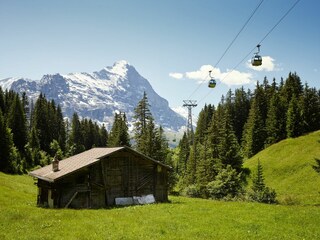 Chalet Grindelwald Omgeving 25