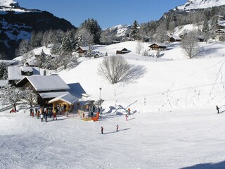 Chalet Grindelwald Buitenaudio-opname 11