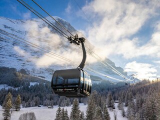 Chalet Grindelwald Omgeving 31