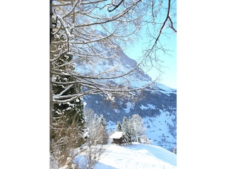 Eiger Nordwand vom Chalet aus