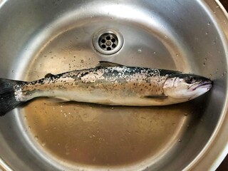 Ferienhaus Grenaa  28