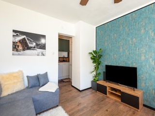 Apartment Hippach Features 12