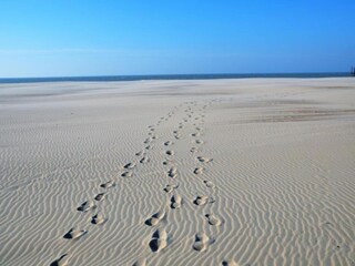 Appartamento Ostende Ambiente 29