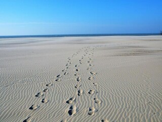 Appartamento Ostende Ambiente 36